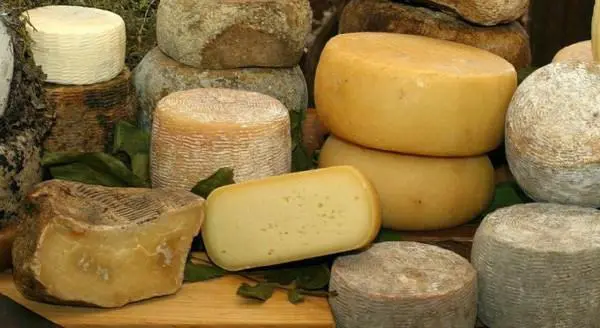 Il Consorzio a tutela del pecorino toscano Dop è favorevole al Ceta