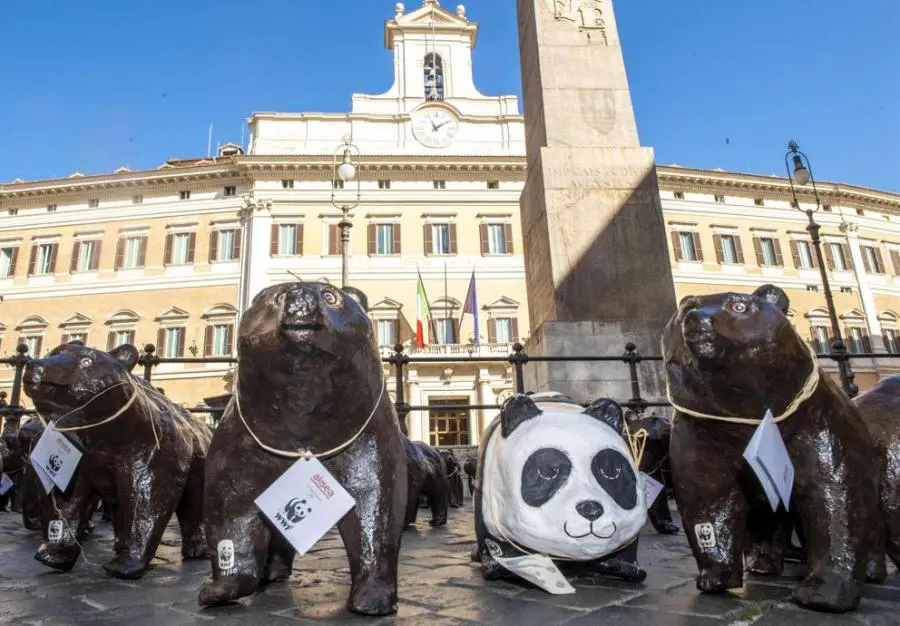 50 orsi bruni marsicani a Montecitorio