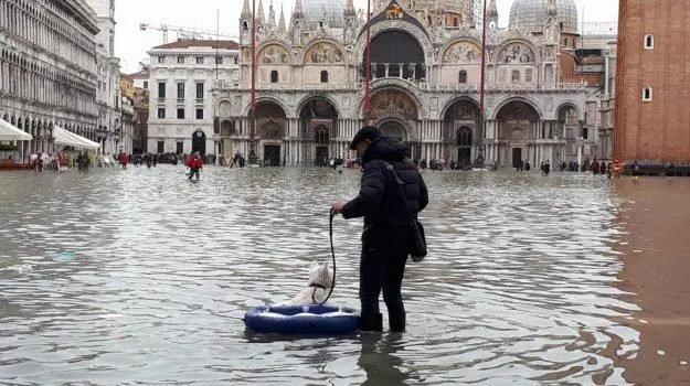 Enpam, pronti sostegno medici a Venezia