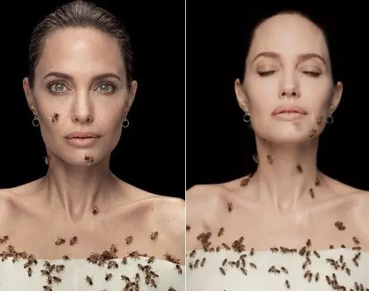 Angelina Jolie per il National Geographic, foto unica per il World Bee Day