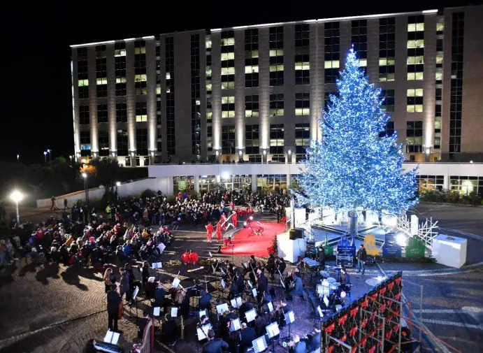 Catanzaro, accesso l’albero di Natale dei calabresi